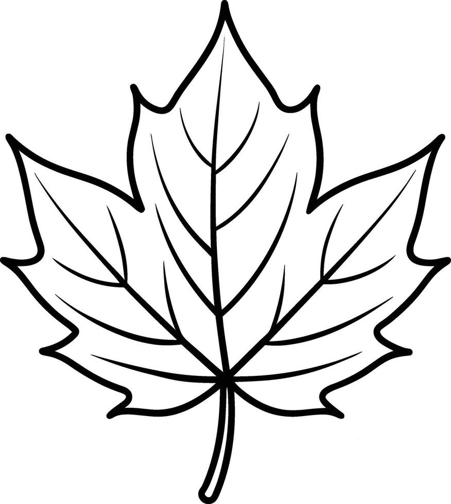 Maple Leaf Line Art - Elegant Black Illustration vector