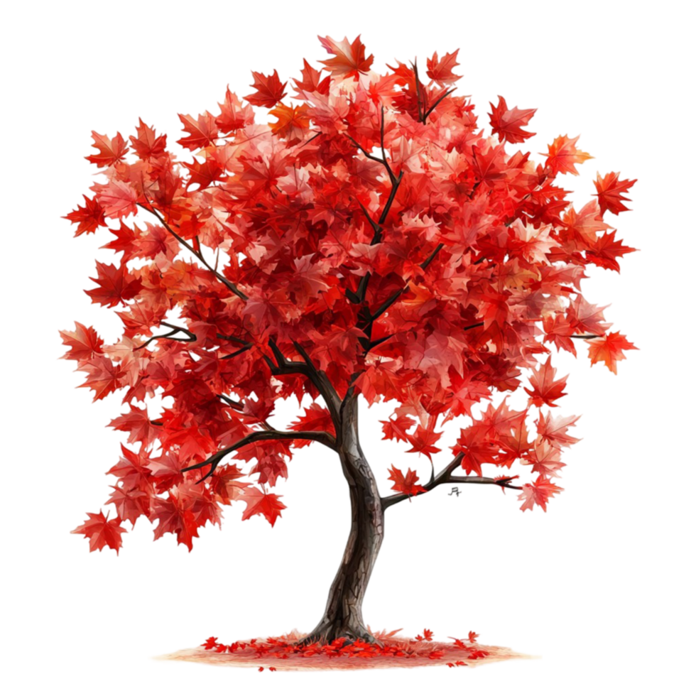 Bright Red Autumn Tree with Lush Foliage png