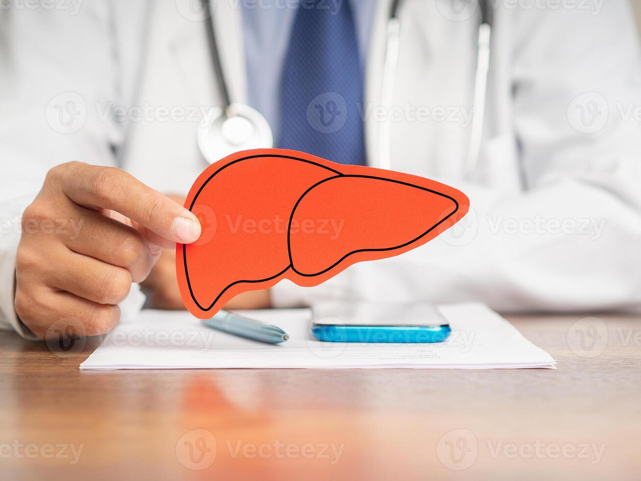 A doctor's holding a liver shape symbol while sitting in the hospital. Close-up. photo