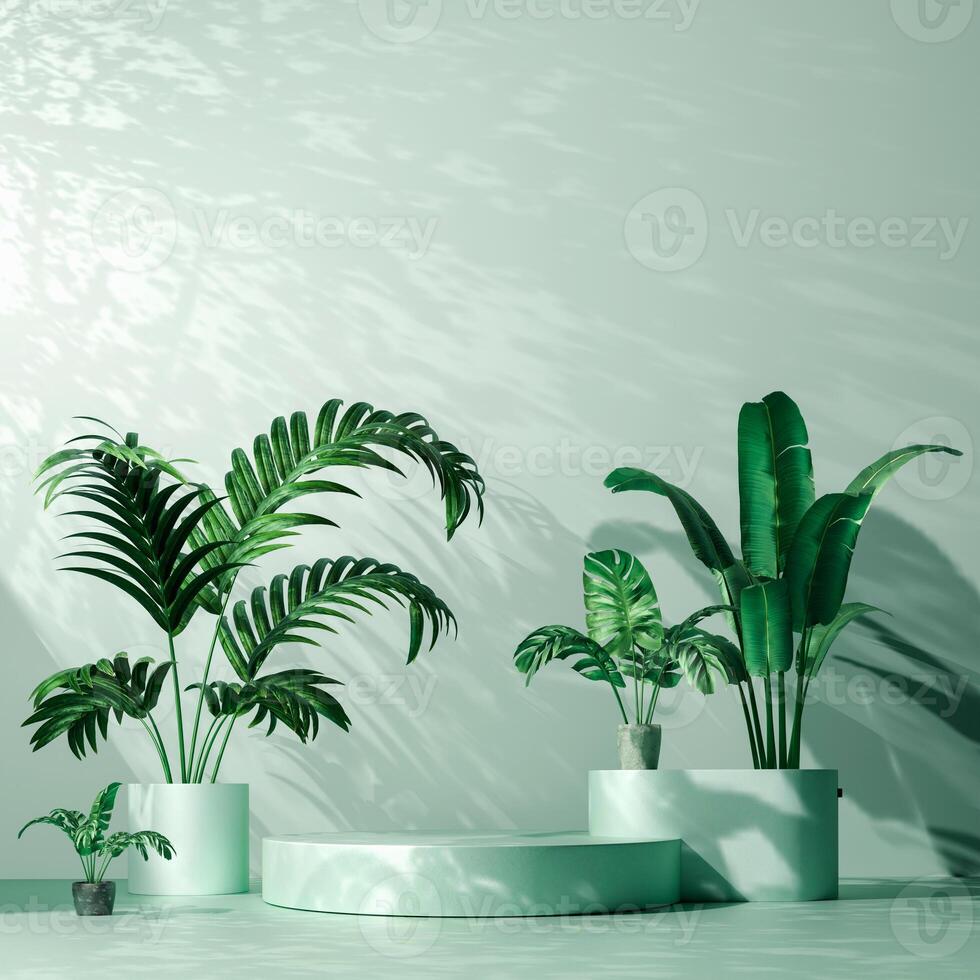 A pale green circular platform is shown with various potted plants, and a pale green wall with shadows of leaves. The scene has a natural and minimalist aesthetic. photo