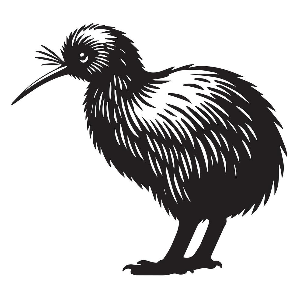 Cute Apteryx Bird Flightless Silhouette Drawing vector