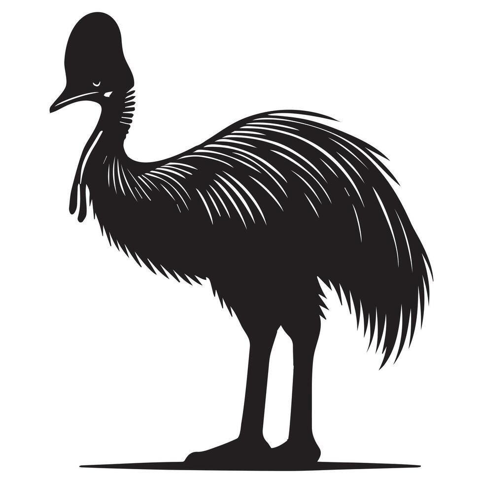Cassowary Bird Illustration vector