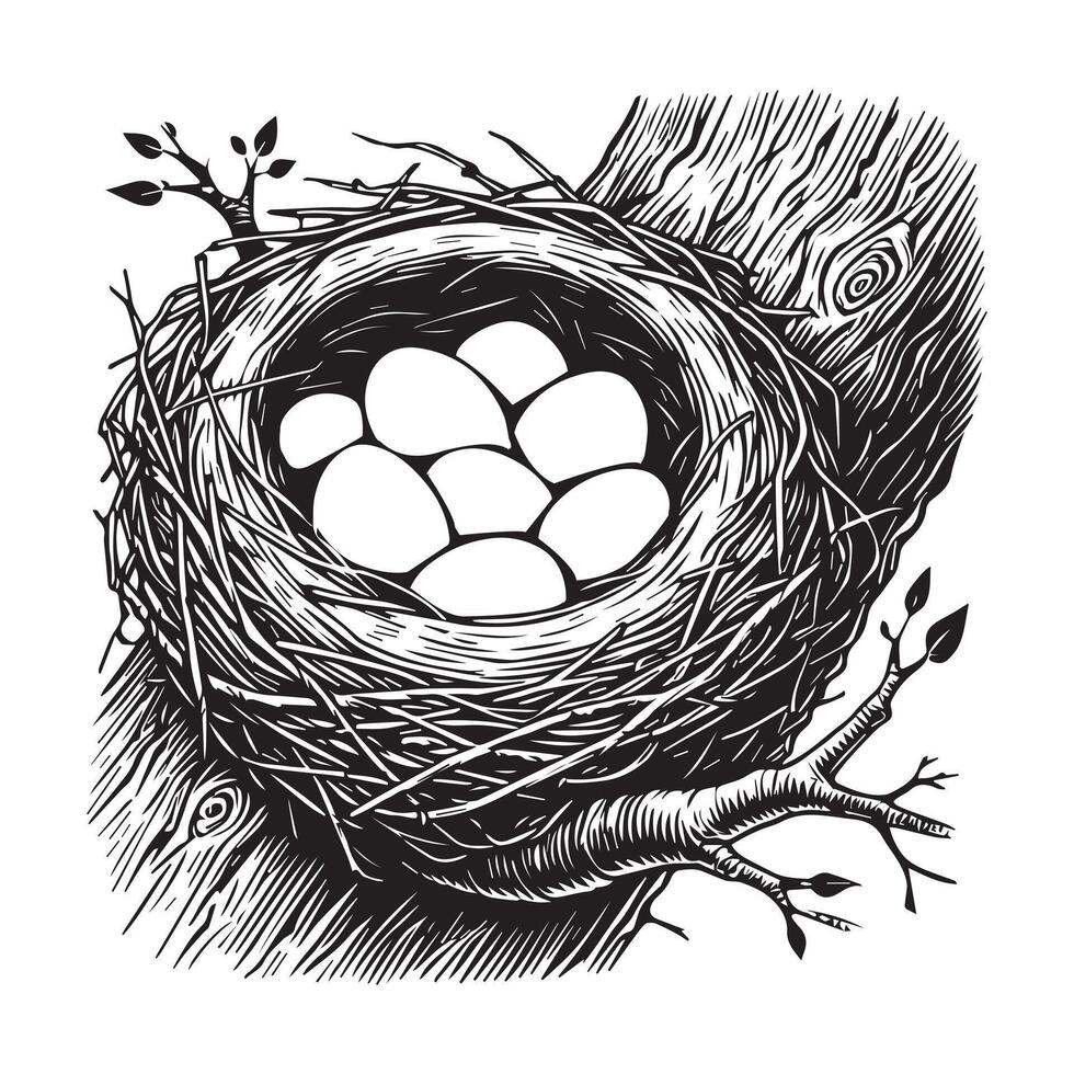 Bird Nest with Eggs Illustration for Eco-Friendly Designs vector