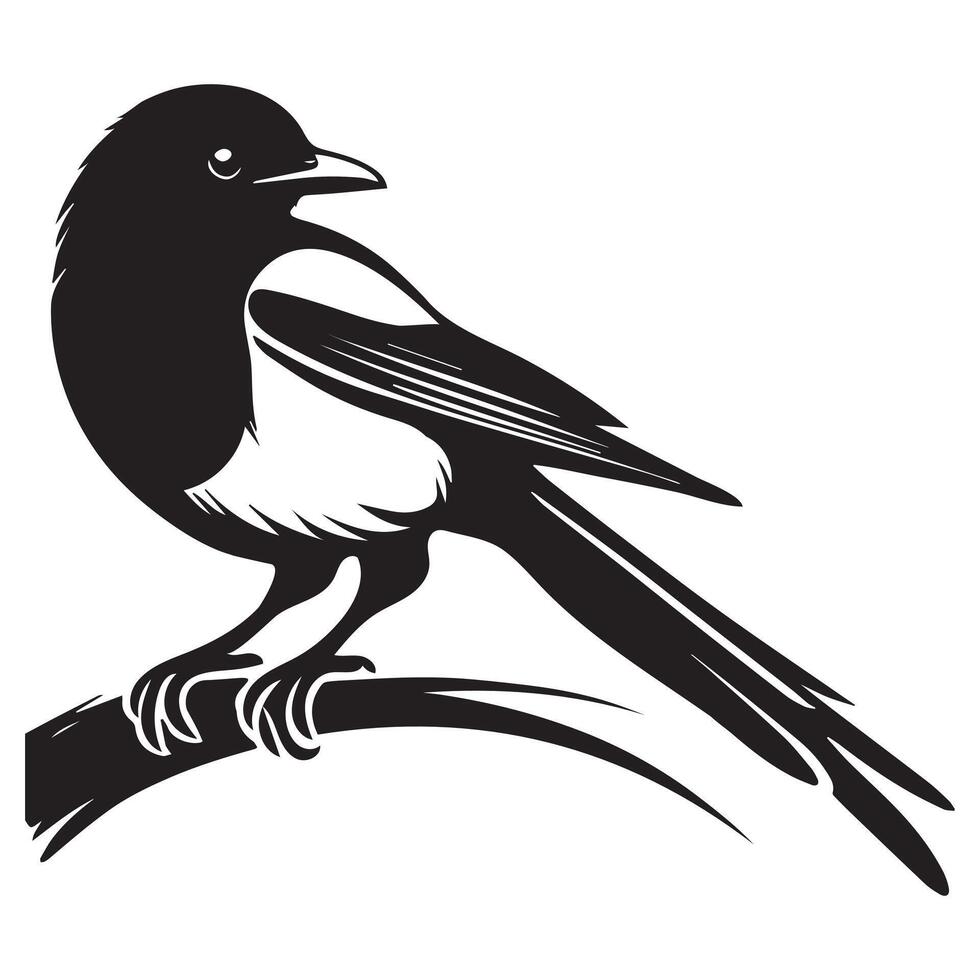 Cute Eurasian Magpie Bird Design with Magpie Clip Art Illustration vector