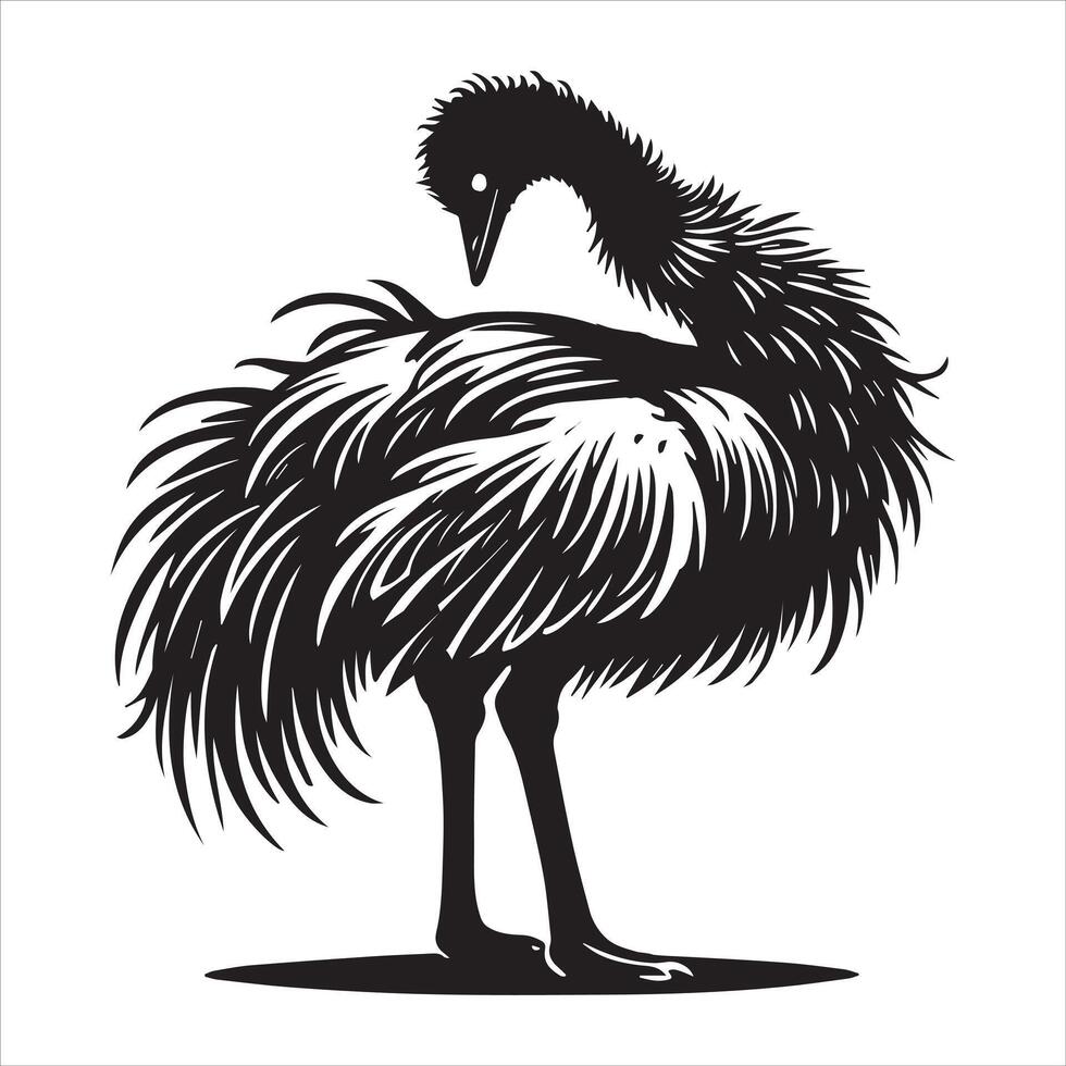 Playful Emu Flightless Bird with Silhouette Details vector