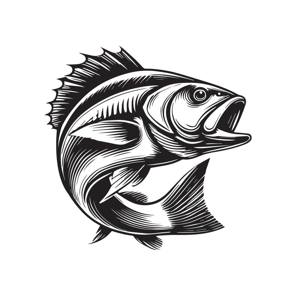 Striking Red Snapper Fish Clipart Illustration Graphics vector