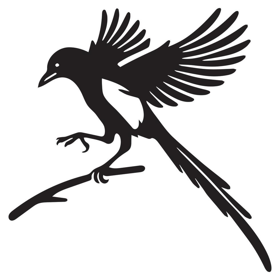 Fun Eurasian Magpie Bird Illustration with Cute Magpie Clip Art vector