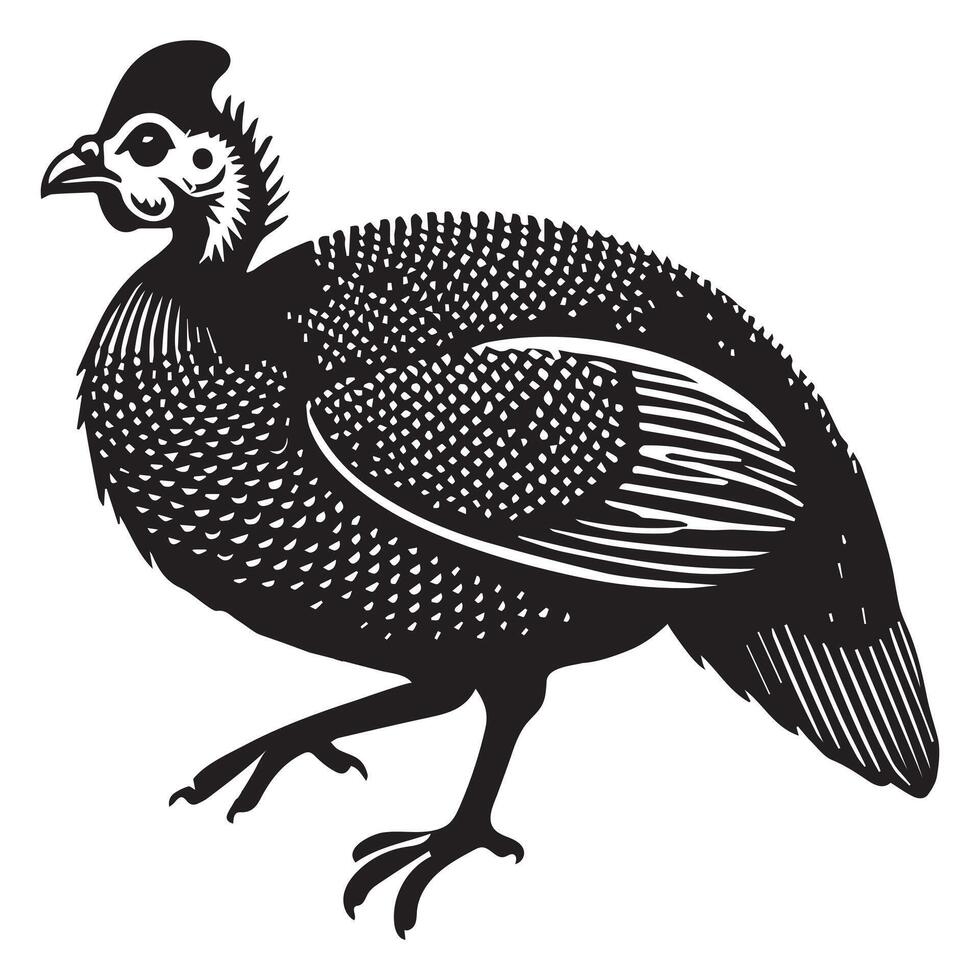 Playful Helmeted Guineafowl Bird Illustration in Silhouette vector
