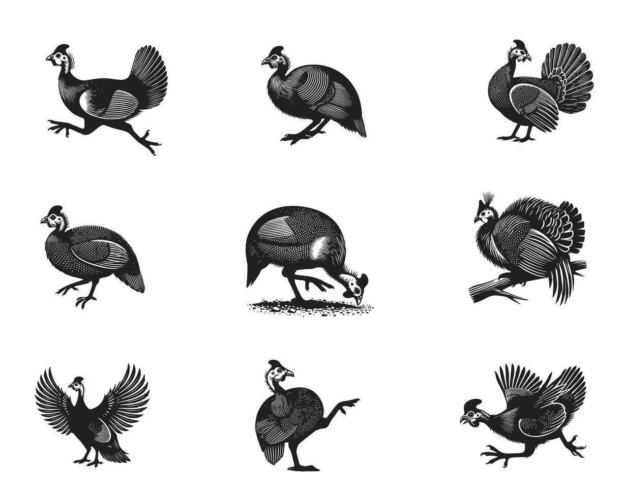 Collection of Helmeted guineafowl silhouettes Design Helmeted guineafowl illustration vector
