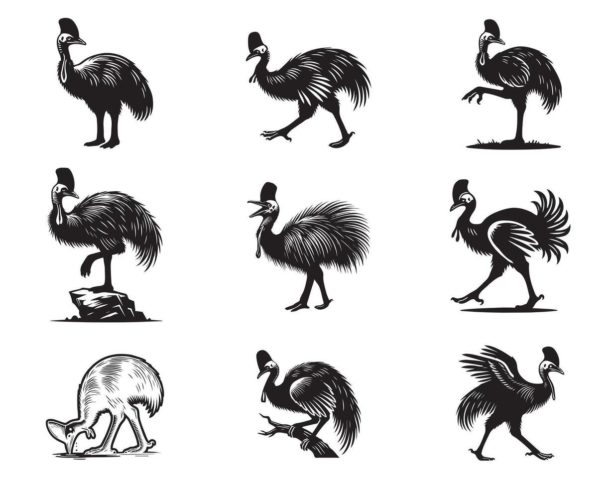 Collection of Cassowaries illustration Cute Casuarius Bird Silhouette Design vector