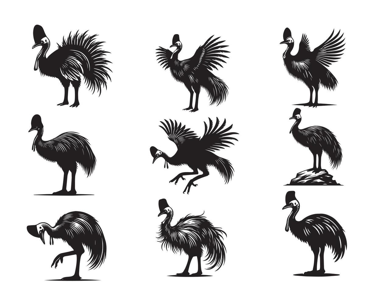 Cassowaries illustration Bundle Art - Cute Casuarius Bird Silhouette Design vector