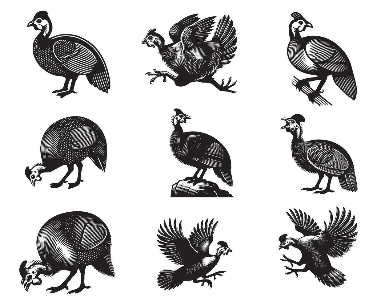 Helmeted Guineafowl Silhouettes Collection Elegant Guineafowl Illustrations vector