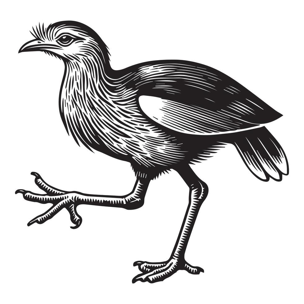 Red-Legged Seriema Bird Design in Minimalist Silhouette vector