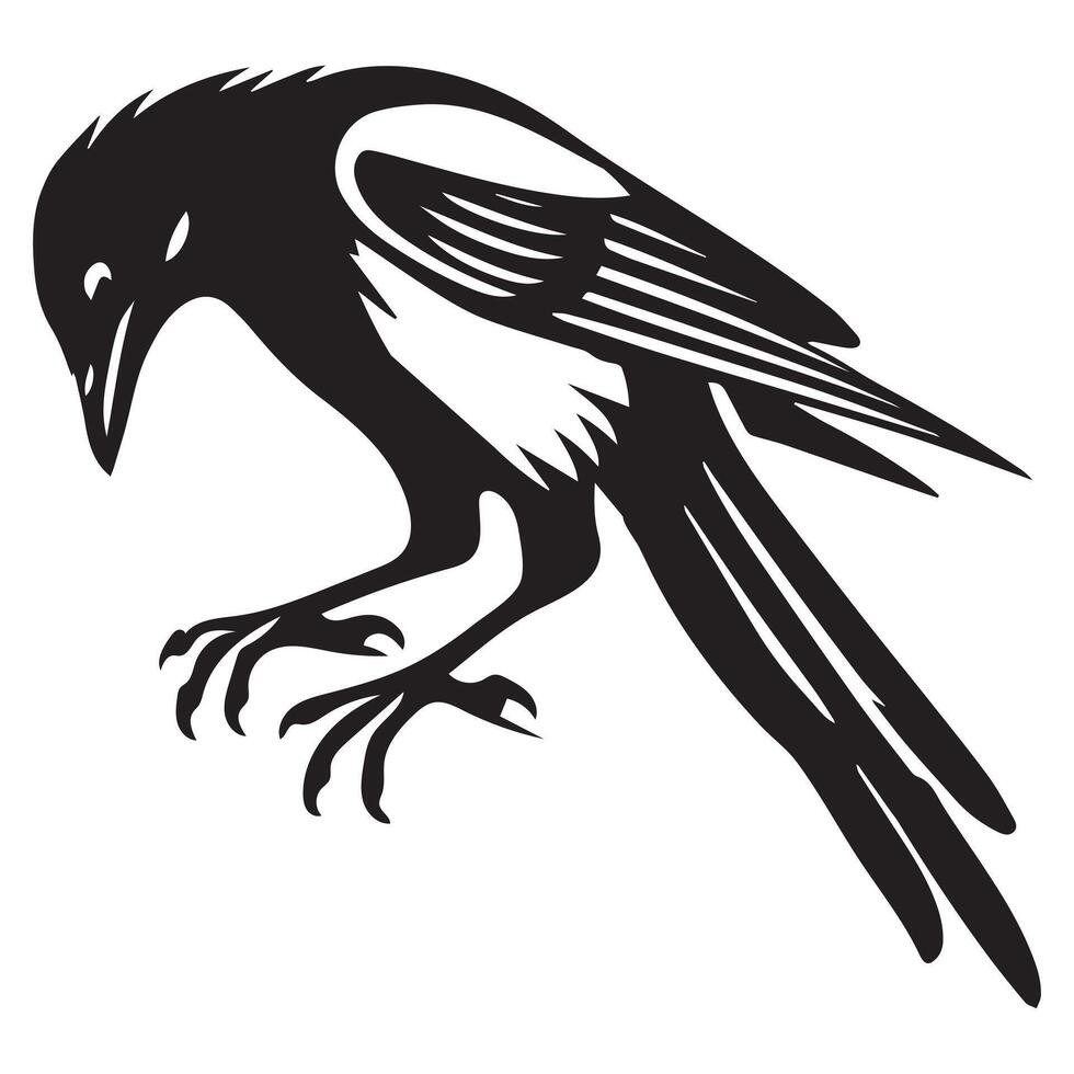 Charming Magpie Clip Art Design with Eurasian Magpie Bird Illustration vector