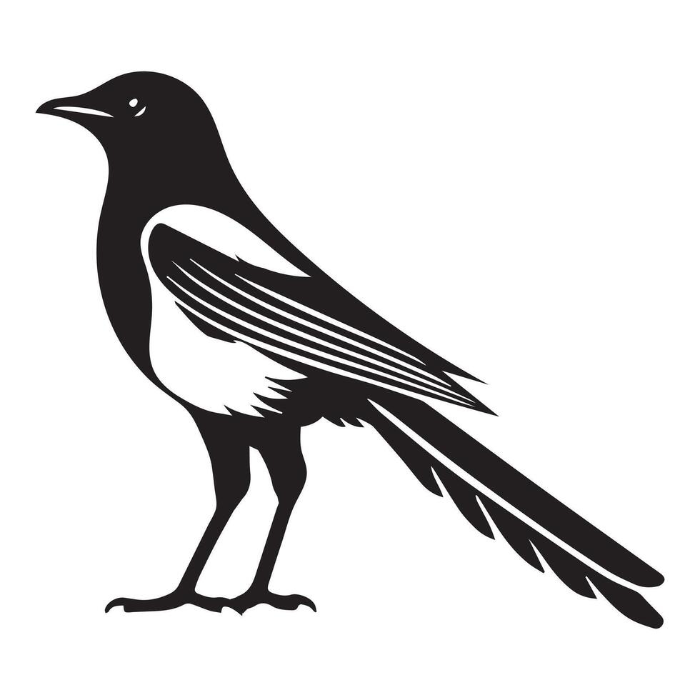 Cute Magpie Clip Art Design Featuring Eurasian Magpie Bird Illustration vector