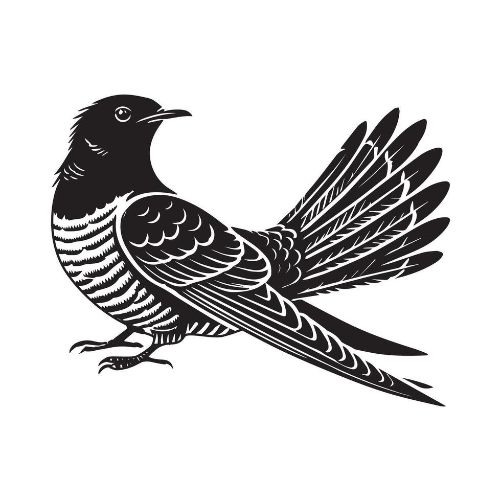 Cute Common Cuckoo Illustration and Elegant Bird Silhouette Design vector