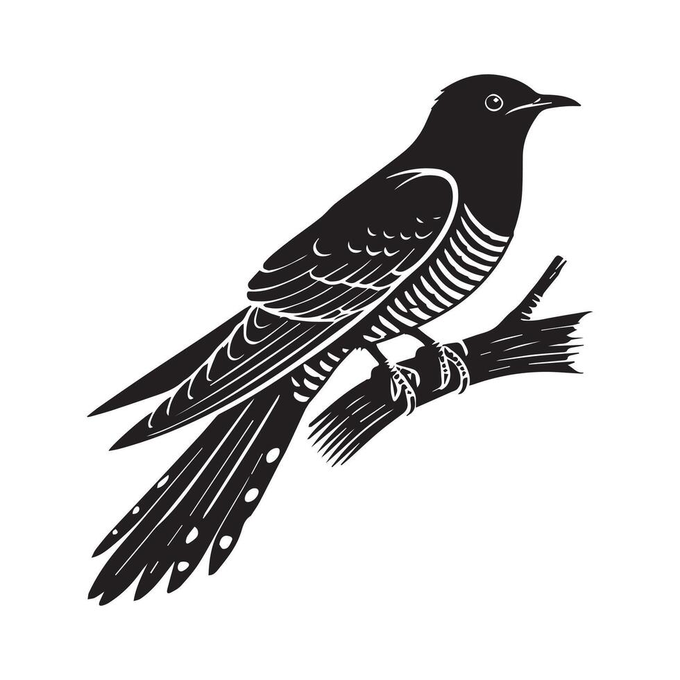 Common Cuckoo Bird Silhouette and Charming Cuckoo Illustration Design vector