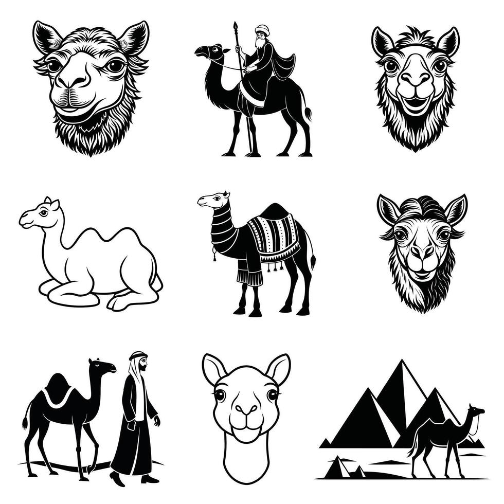 Captivating Camel Faces and Desert Landscapes Illustrated Nomadic Journey Collection vector