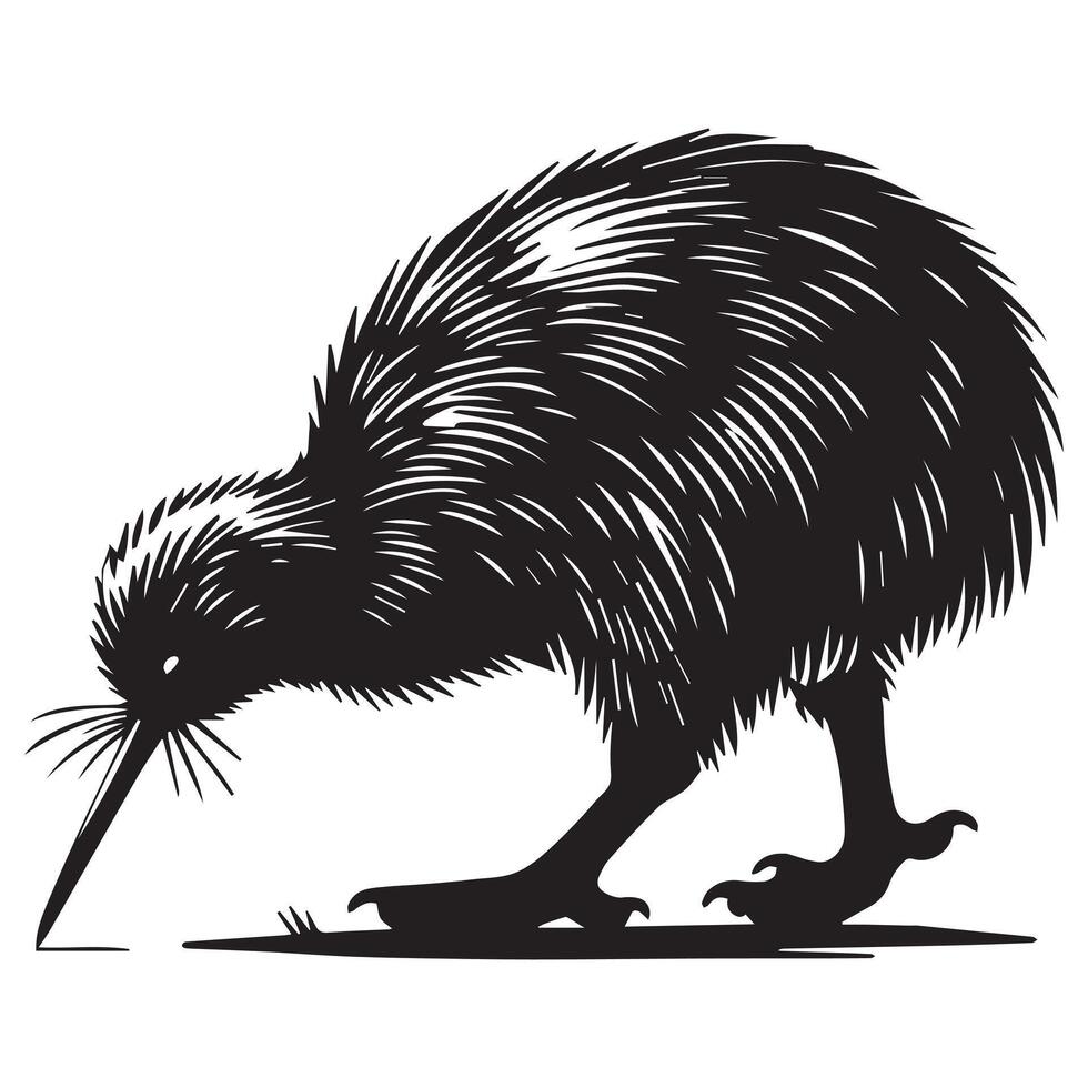 Cute Kiwi Flightless Bird Silhouette Illustration vector