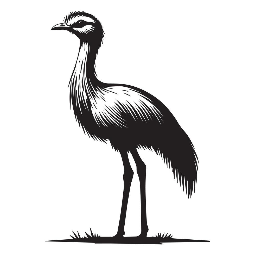 Cute Red-Legged Seriema Bird Artwork with Silhouette Style vector