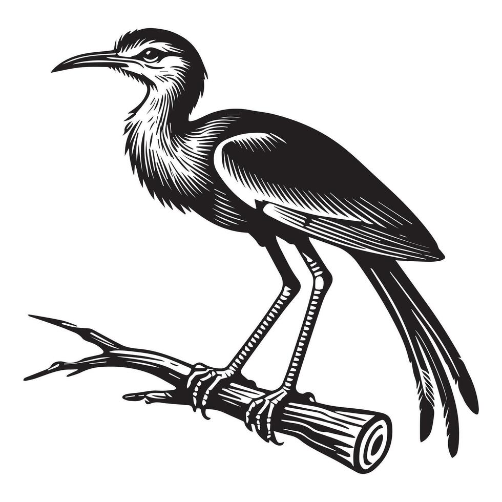 Adorable Red-Legged Seriema Bird Design in Silhouette Form vector