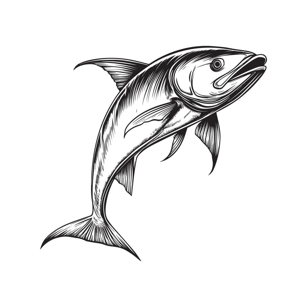 Contemporary Mahi Mahi Fish Clipart Illustration Design vector