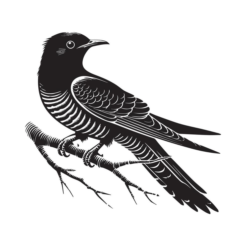 Cute Common Cuckoo Bird Silhouette with Beautiful Cuckoo Illustration vector