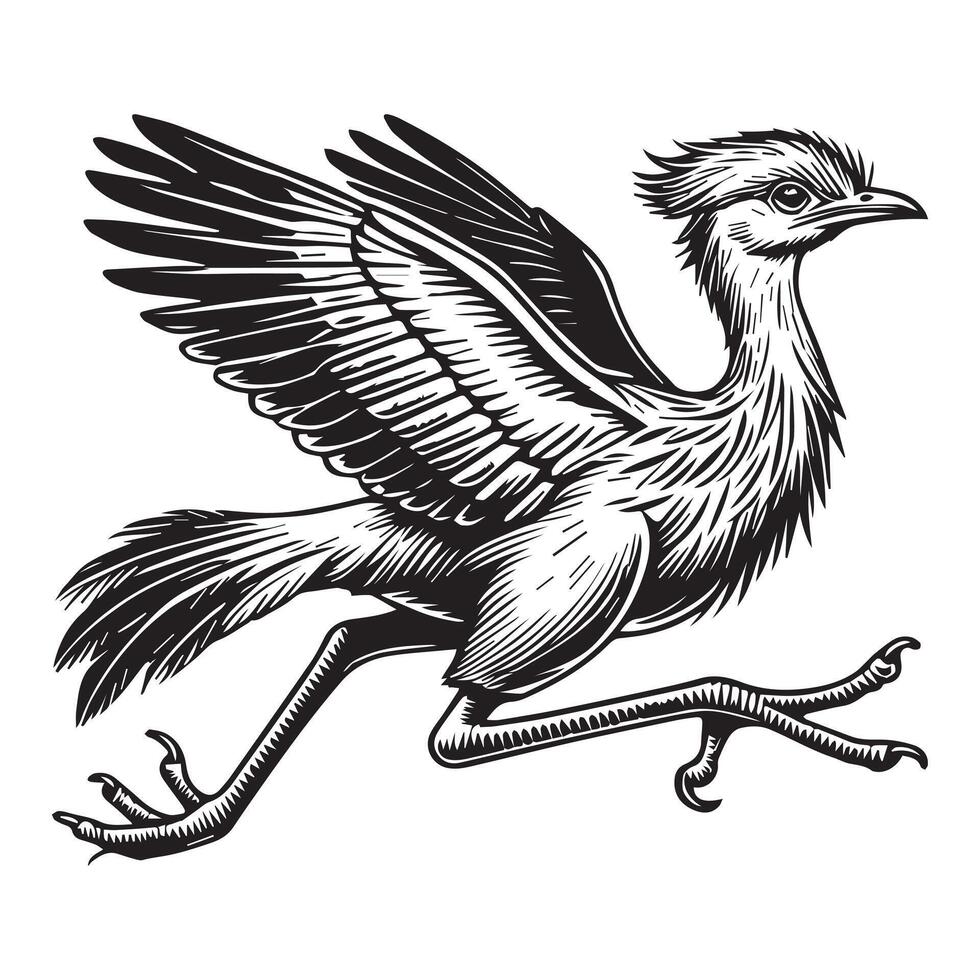 Cariama Cristata Bird Silhouette Illustration with Grace vector