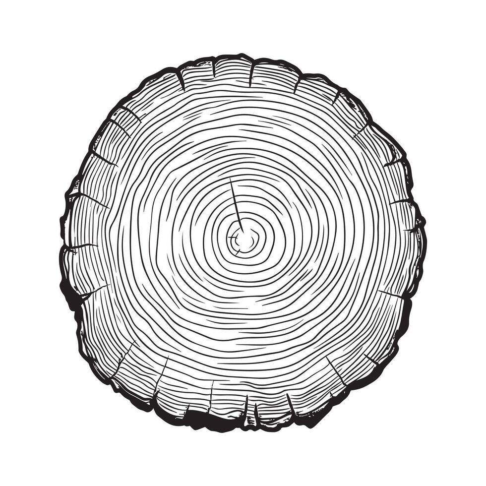 Rustic Circle Wood Slice Clipart for Invitations vector