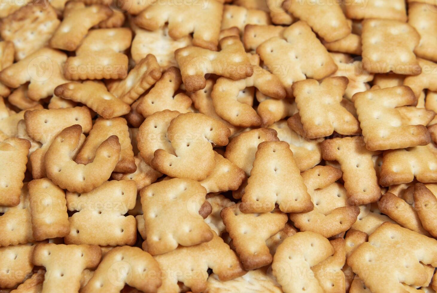 Dry salty cracker cookies close up photo