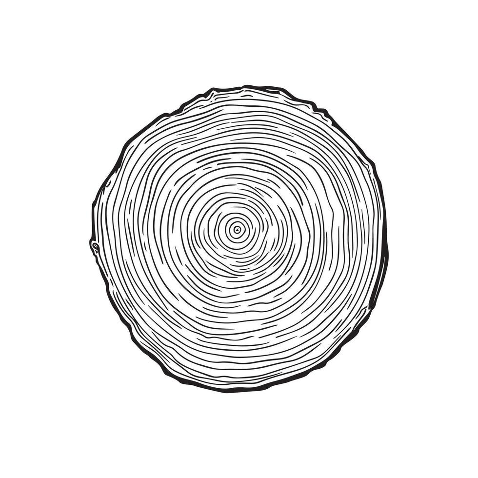 Whimsical Circle Wood Slice Illustration for Invitations vector