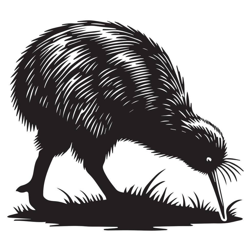 Lovely Apteryx Flightless Bird Illustration in Silhouette vector