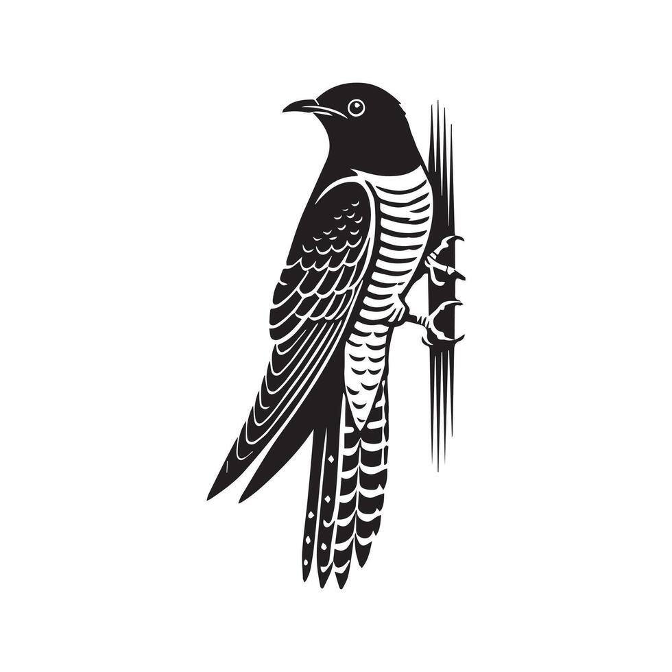 Elegant Common Cuckoo Silhouette for Wildlife Illustrations vector