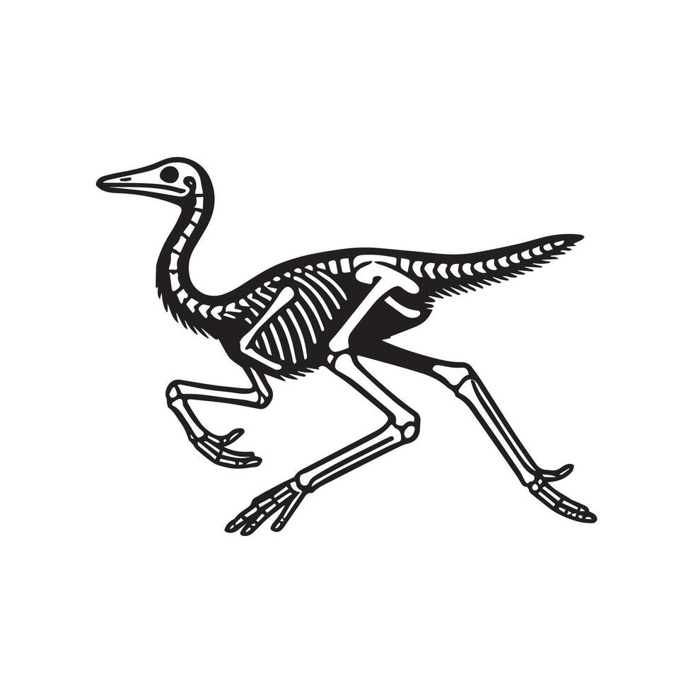 Jurassic Dinosaur Skull Artwork vector