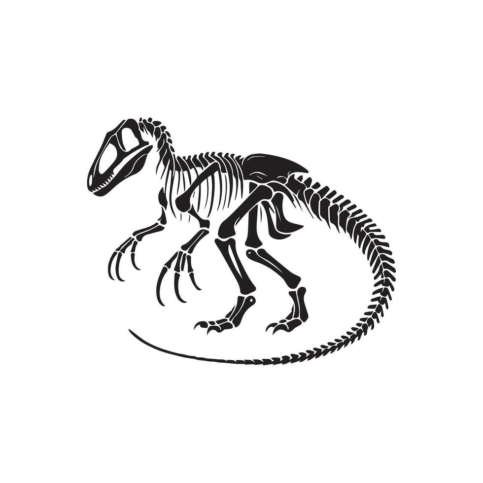 Dinosaur Skull Clipart for Science Project vector