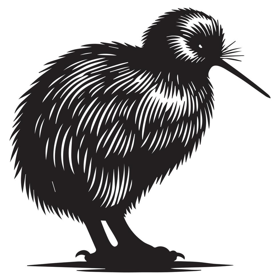 Flightless Kiwi Bird Silhouette with Apteryx Charm vector