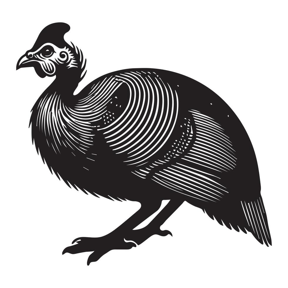 Numida Meleagris Bird Silhouette with Sweet Features vector
