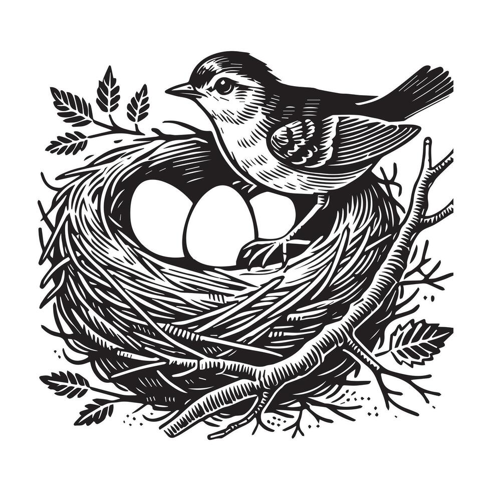 Adorable Bird Nest with Eggs Illustration for Custom Gifts vector