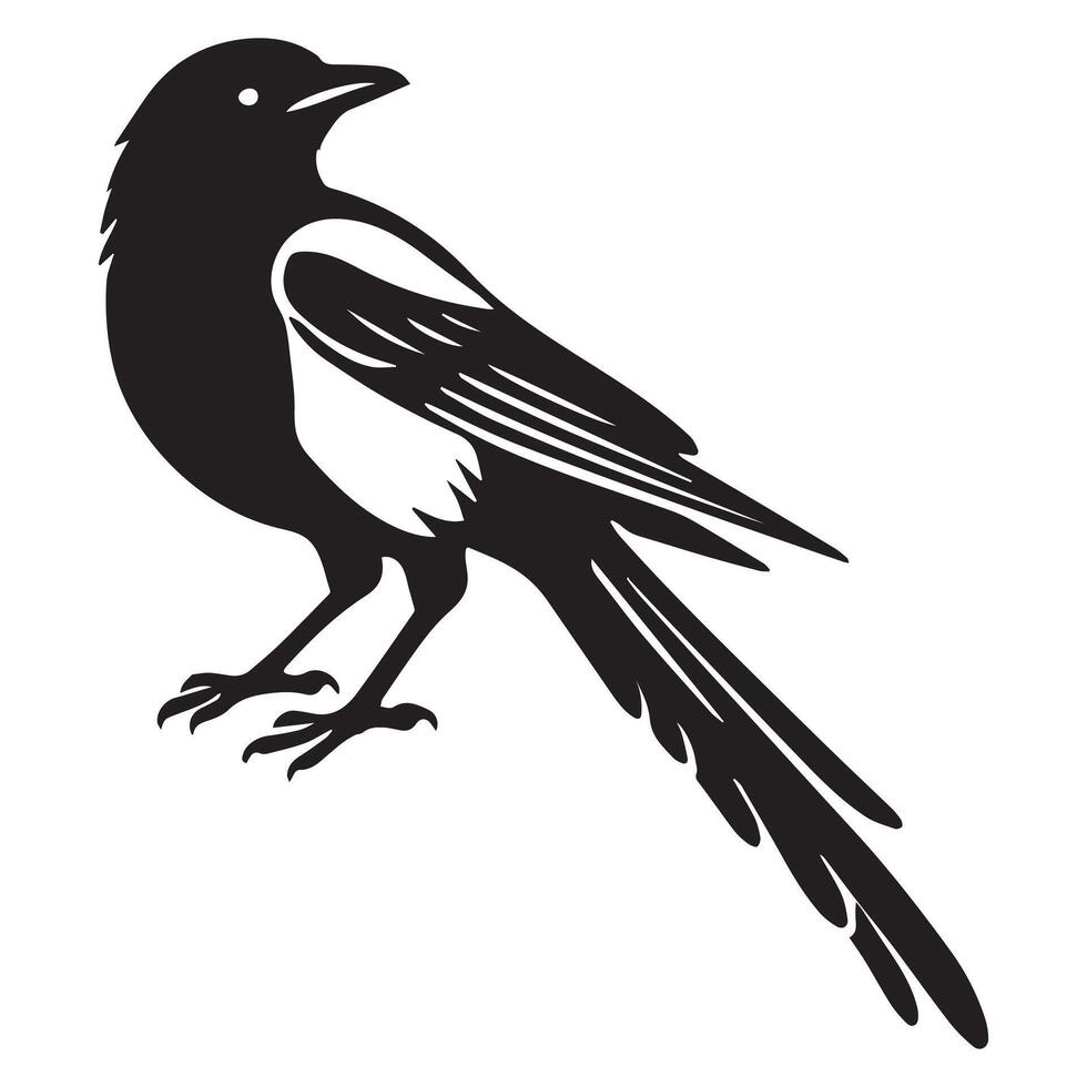 Sweet Eurasian Magpie Bird Design with Playful Magpie Clip Art vector