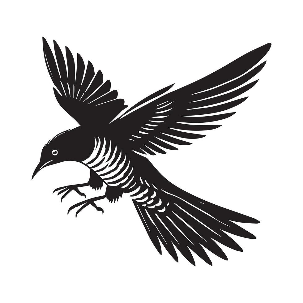 Common Cuckoo Bird Silhouette and Cute Cuckoo Illustration Design vector