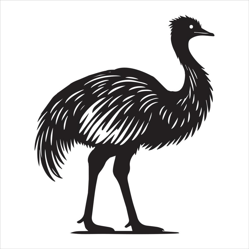 Greater rhea Bird illustration in black and white vector