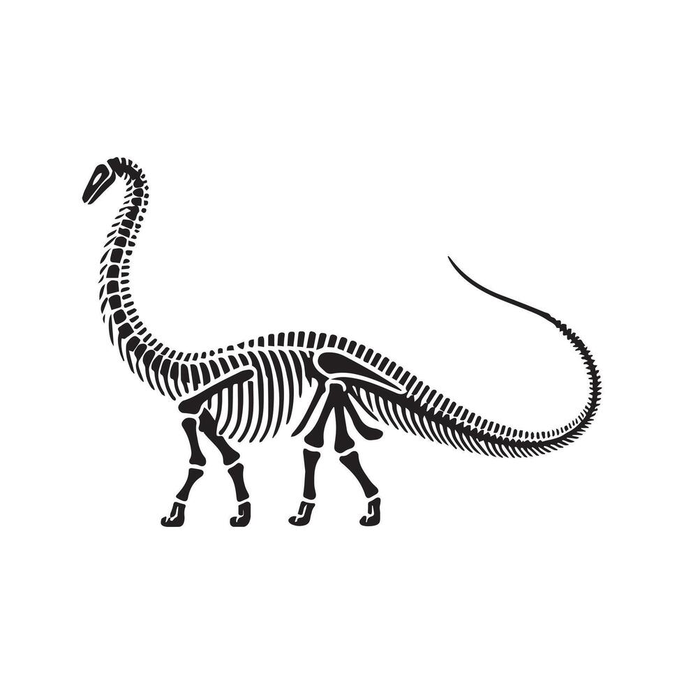 Dinosaur Skeleton Artwork for Design vector