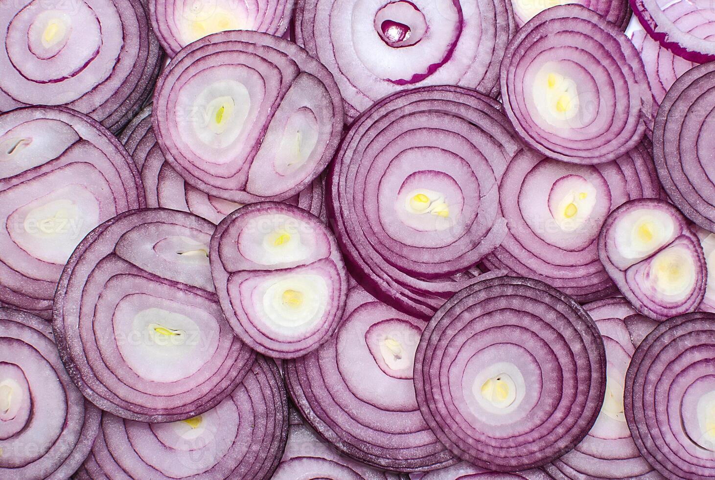 Background of sliced red onion rings photo