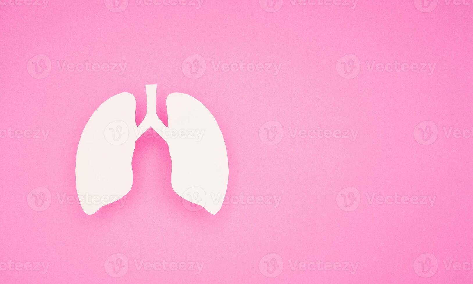 A lung symbol on a pink background with space for text. Top view. photo