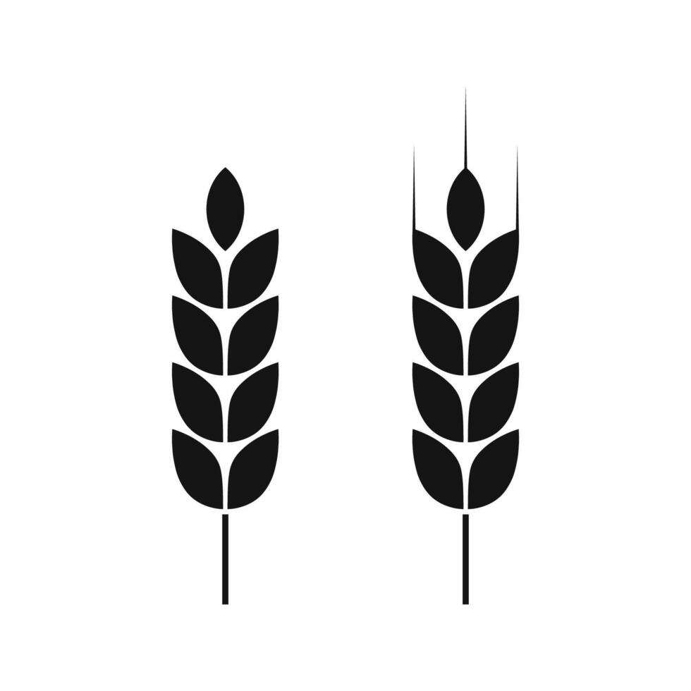 Wheat ear icon. Cereal icon on white background. Grain icon logo design. Agriculture symbol. vector