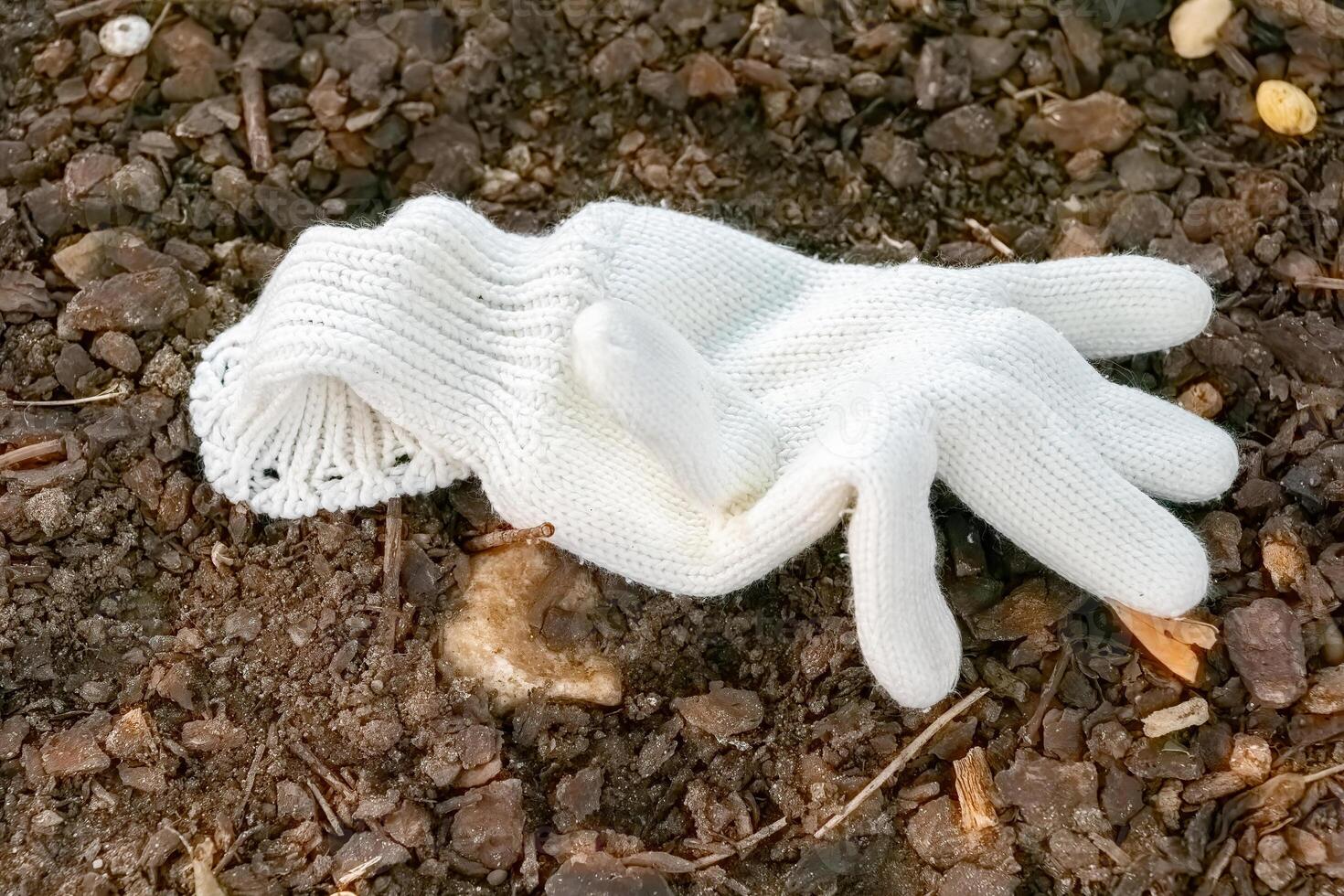 Unused white glove resting on gravel path surrounded by nature on a sunny day photo