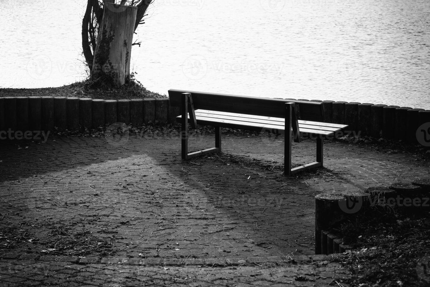 Bench by the water surrounded by nature in a tranquil setting during the day photo