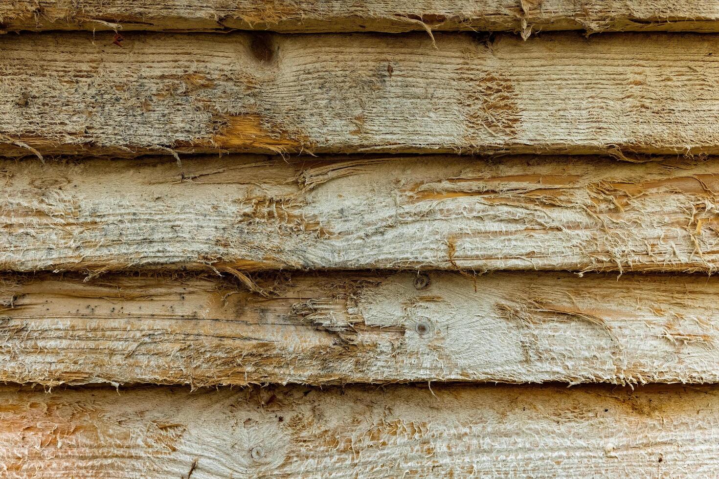 Wooden wall texture showing natural grain and rough surface in warm sunlight at an outdoor location photo