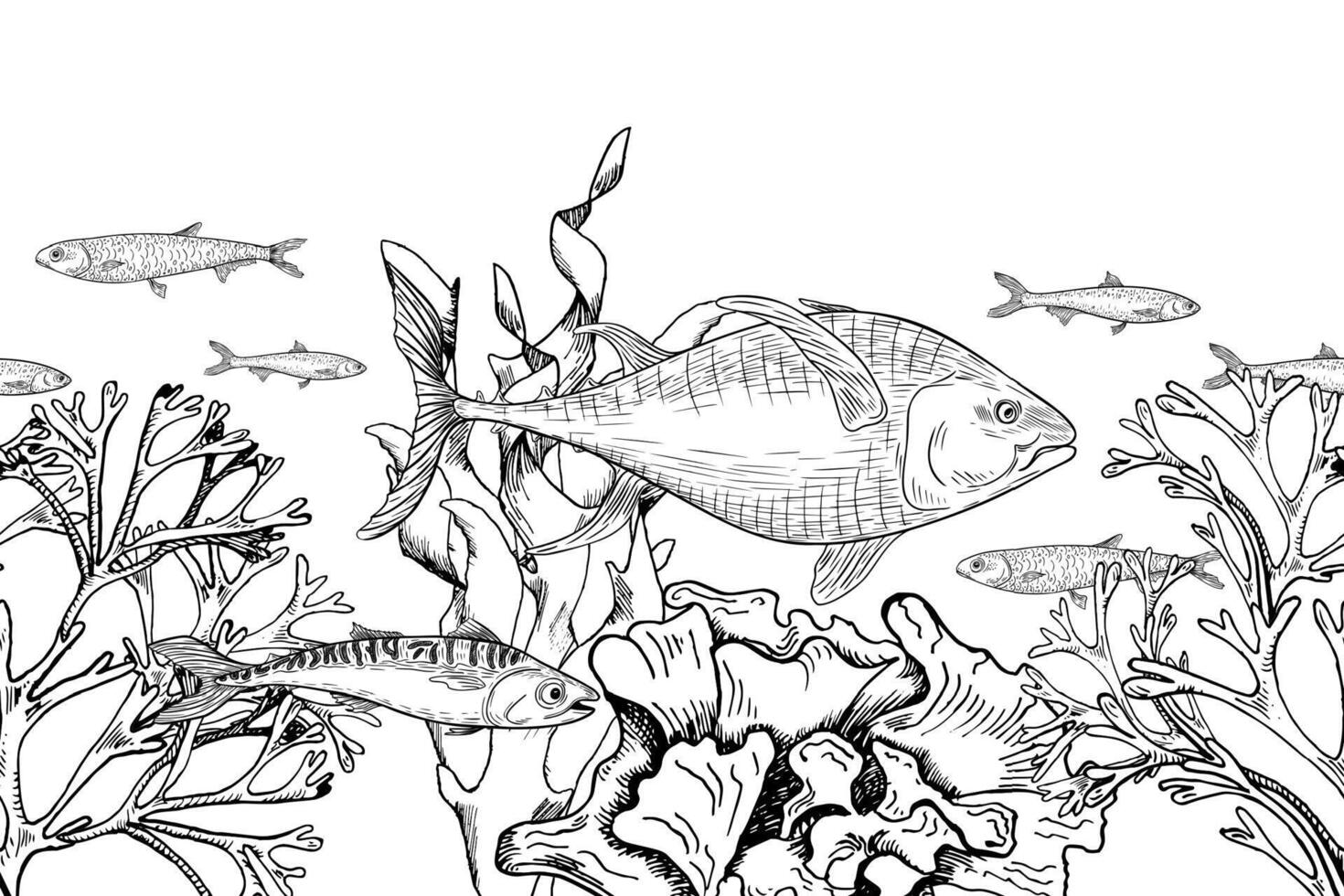 Big fish tuna, seaweed, and coral reefs black white seamless banner. Underwater monochrome hand painted illustration. School of fish on sea plants engraving on repeat texture for design. vector