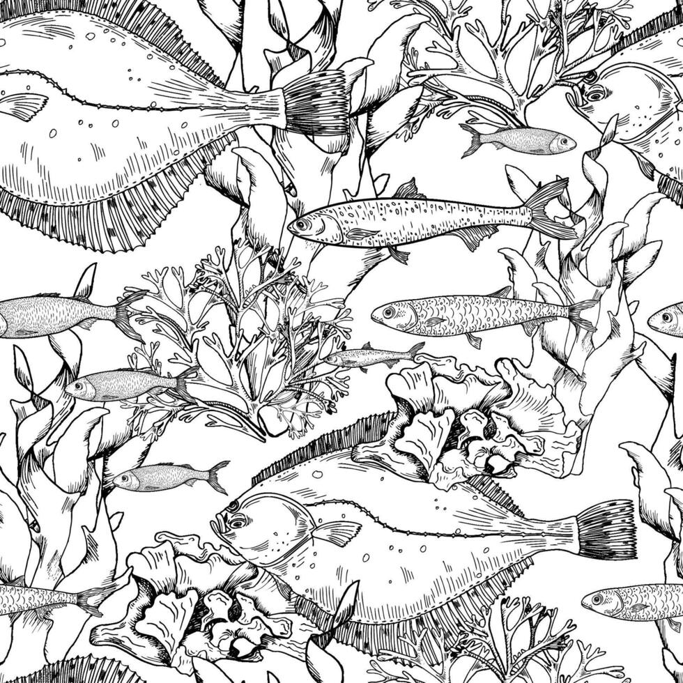 Sea fishes, corals, and seaweed monochrome seamless pattern. Ocean life elements repeated black white background hand drawn. Marine design for textiles, wrapping paper, scrapbooking. vector